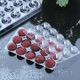 Jiabaoguo black carbon shockproof express box bayberry packaging box transparent blister particles independent transport packaging box