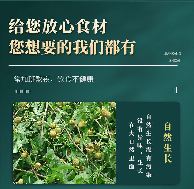 Fu Pen Zi Dried Raspberry Fruit 100g Wild Five-Lobe Rubus for Herbal Tea and Decoction quality and texture