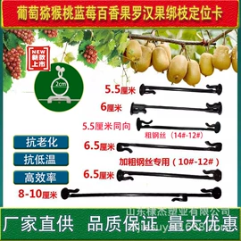 园艺工具;温室、大棚;其他农业用具