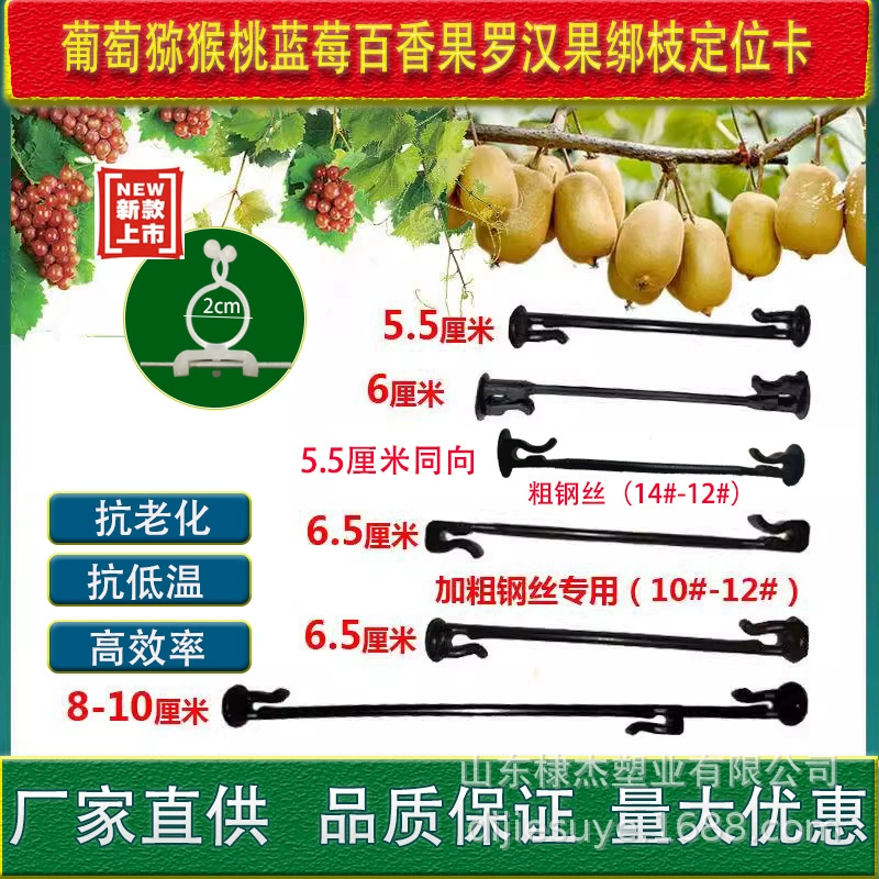 Виноград Киви Вязка Ветка Клип Черника Виноград Рассада Ветка Крепежный Зажим Пластиковый Крюк Привязки Виноградная Ветка Зажим