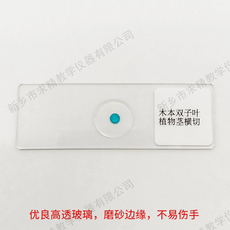 Origin Source Bio -Sname Simagon Simpling Primary and Middle School Wooden Gemini Botanical Stems Trail Microscopy Simagon Specification