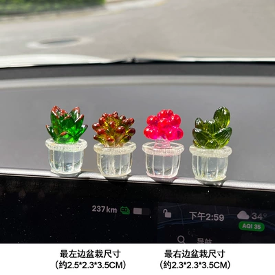 Car ornaments – Console Electric Vehicle Accessories - new-transparent-succulent-group-a