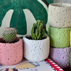 さまざまなオプションの月のパターンのクリエイティブなデザインのオフィスのデスクトップの緑の植物多肉植物サボテンのセメントの小さな植木鉢
