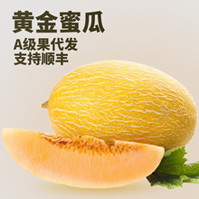 ���տ졿�����S���۹�5/9���ɫ���A�۹����r�r���ˮ����