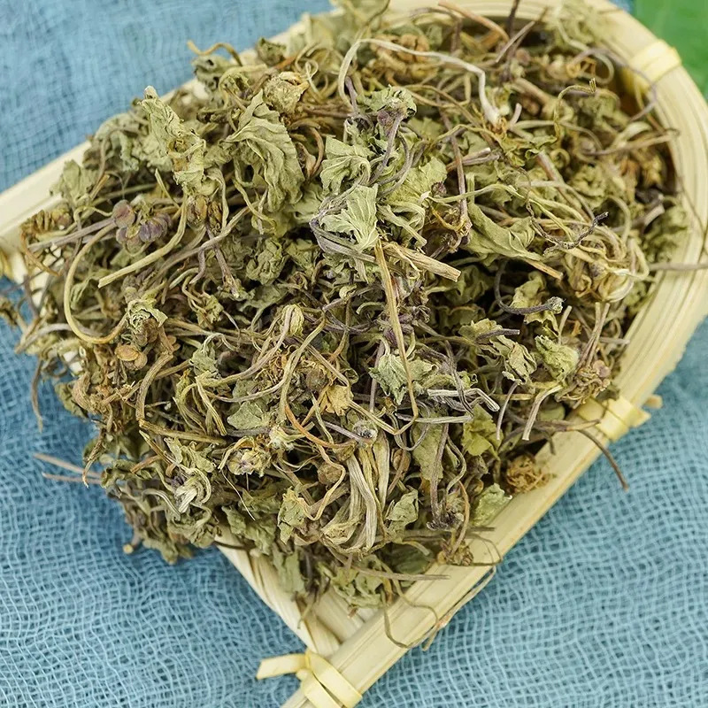 Dried Centella Asiatica Herb Ji Xue Cao Sun Dried Loose Leaf for Herbal Tea and Decoction in use