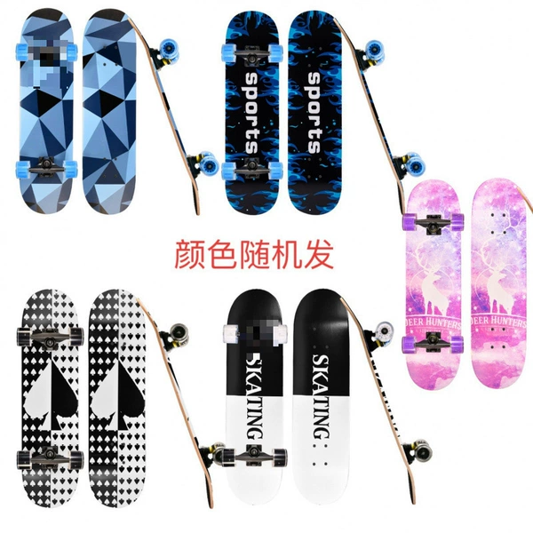 80*20 flash wheel/turnable/English dou border shepherd