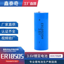 现货ER18505M 智能水表燃气表热量表PLC工控3.6V锂亚柱式电池工厂