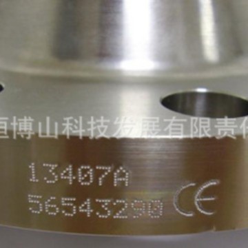 供应上海法兰打标机上海法兰刻字机上海法兰打码机钢印号打标机