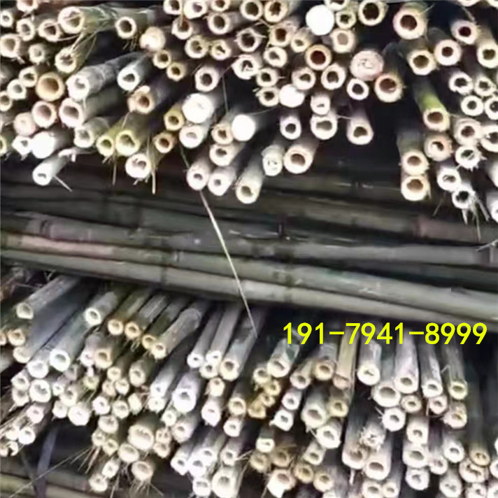 微信图片_20220521150535