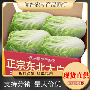 ɽ�|�H����ײ����r10����]�r���߲��r���ԷN�S�İ��Ĳ����w�ײ�