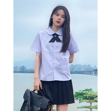 泰国校服泰式女孩jk制服衬衫短袖夏季高中生毕业班（绣花配领带）