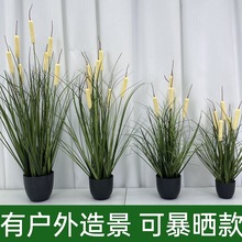户外可暴晒仿真绿植菖蒲草毛蜡烛pvc植物香蒲蒲棒花草落地假盆栽