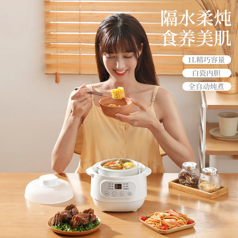 Electric stew pot household fully automatic water-proof bird's nest stew pot ceramic multi-function soup pot small household appliances casserole wholesale