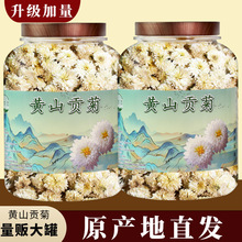 黄山贡菊高品罐装100克优质甜散装白菊花茶七月菊原产地直批清火