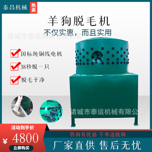 ����Óë�C�d���ë�C����Óë�C���;d��ȥë�C�������ë�C��