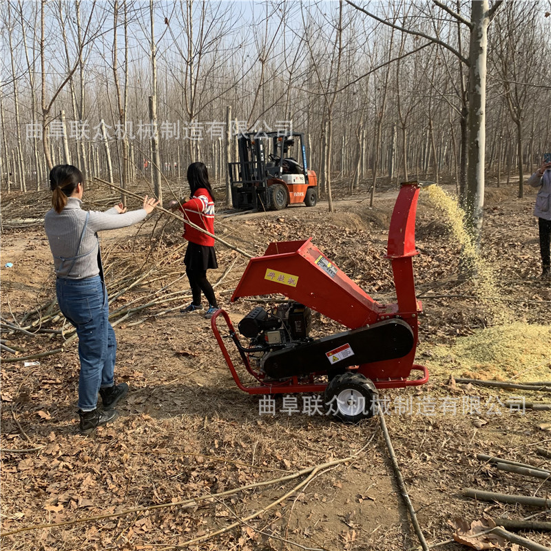 树枝树干废木材打碎机 干湿果园杂树枝碎枝机 树枝秸秆粉碎处理机