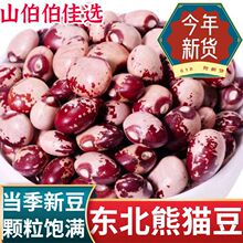 ��؈����؛ �r���Ԯa��С��ܿ�� ؈�۶����׶������s�Z�ּZ