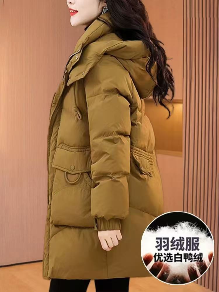 갈로 컬러