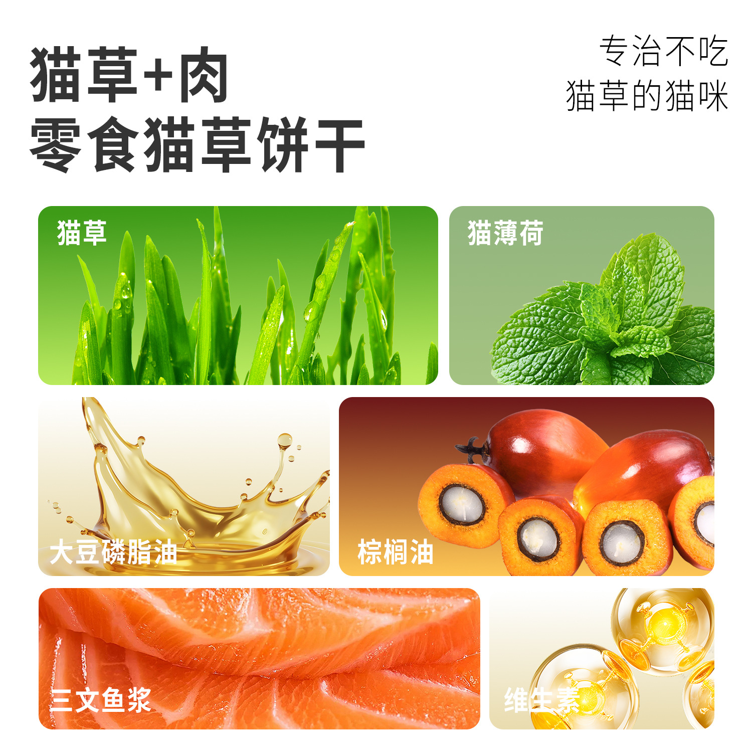 Yihe, galletas de menta para gatos, dientes para gatos, dientes para gatos, bocadillos para gatos, mascotas al por mayor.