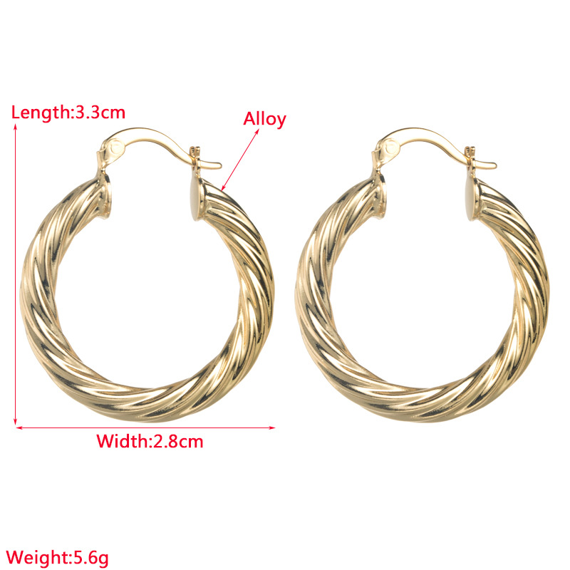 Fashion Geometric Titanium Steel Hoop Earrings Plating Stainless Steel Earrings