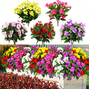 �羳�����P�ɻ��ٻ������N�����滨�߼��б������ֲ�����컨��c