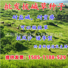 |ݷN|éétݟoâȸͺo¹Gƺ