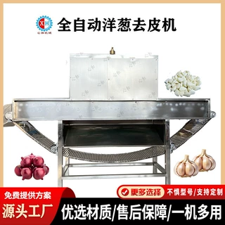链条式蒜头脱皮机现货供应不锈钢蒜头去皮设备干法剥蒜皮机无损伤