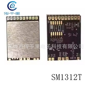 1.2g 1.3g 800Mw Image Transmission Sm1312T Sm1313T Transmitting Vm1373R Receiving Module