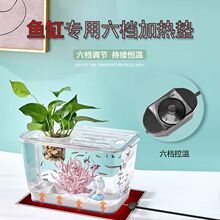 ~׼ӟ|~ˮ،mľз}W^ߌ늟̺l