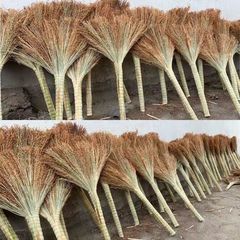 高粱扫把老式扫帚加厚手工扫地笤帚工地家用学校环卫户外结实耐用