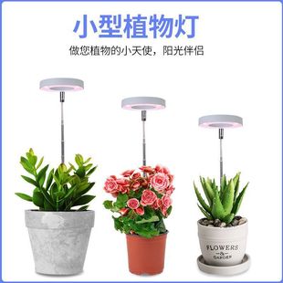 全光谱天使环植物生长灯USB低压定时调光家用花卉绿植多肉补光灯