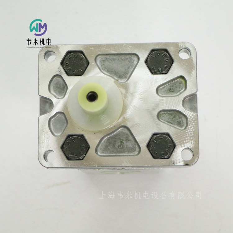 GP20140R95B20N迪普馬齒輪泵 (4)