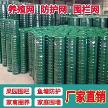 ���P�F�z�W�B�u���ھW���Ѽ����پW�������~�����@���o�WȦɽ