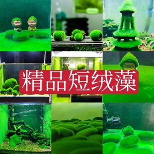 ����̽q�G����ˮ�����r����G̦�~���K�N������G��N���L�qʯ�G
