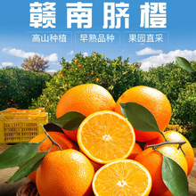 江西赣州当季新鲜手剥甜橙子孕妇水果整箱20斤包邮10