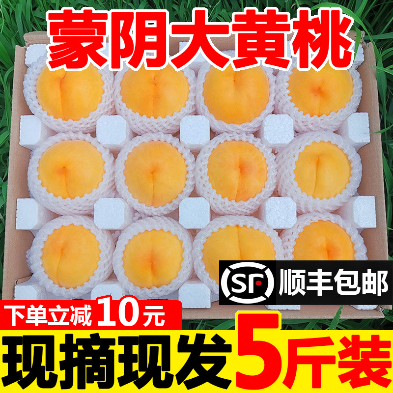 黄桃新鲜水果山东蒙阴黄金蜜桃炎陵锦绣当季时令黄毛桃整箱大桃子