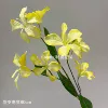 7 flame orchids