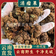 ���Ұ����������ș�������م������ӽ�z���������^·�S����ȥ��