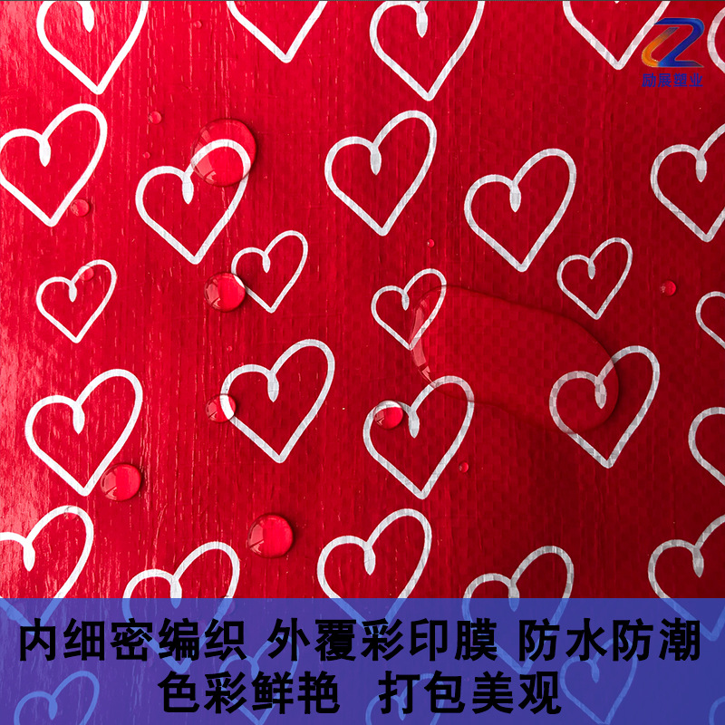 Impresión de color tejido bolsa engrosada película de color de dibujos animados impermeable serpiente bolsa edredón embalaje bolsa de embalaje de juguete de peluche