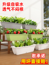 原起点塑料花盆家用长方形阳台种菜盆草莓种植盆蔬菜专用箱长条槽
