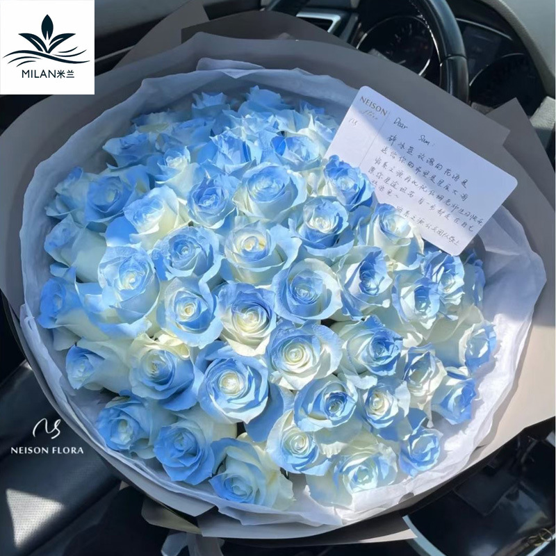 Internet celebridad ciruela negro rosa púrpura flores autopintadas agente de pulverización de color tinte floral spray colorante