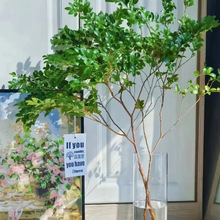 ИˮGֲRľձRƽֵWpʽb