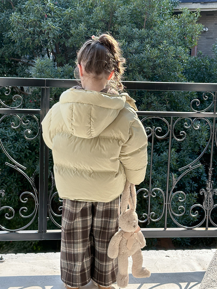 2024-11-07 145304.jpg