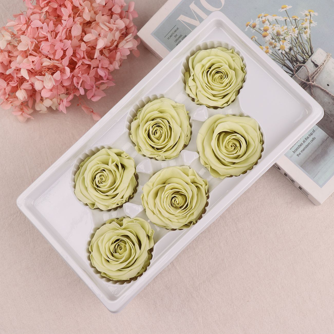 Rosa Preservada A+ de 5-6 cm, Flor Real Seca, Regalo DIY, Venta al por Mayor de Yunnan, Ramo para el Día de la Madre, 520