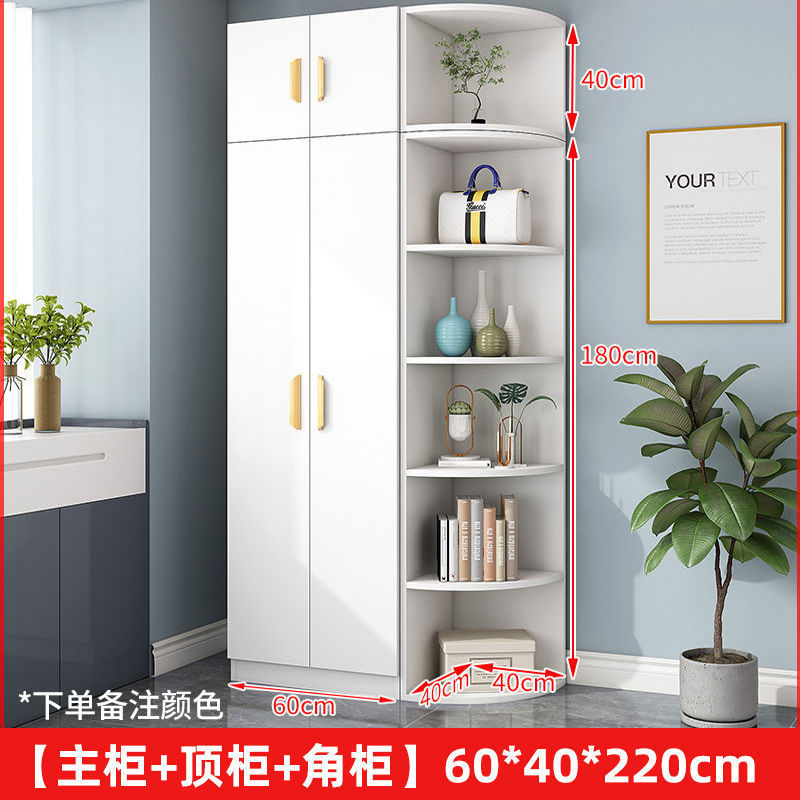 衣柜对开门家用卧室简易出租房用小户型板式柜收纳柜子网红挂衣橱|undefined