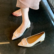 pLVֿۆЬŮ2025¿|С^ٴ´ָЬŮ