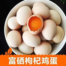 恩施富硒鸡蛋枸杞鸡蛋散养跑山鸡农家喂养鸡蛋送礼食堂用50枚起订