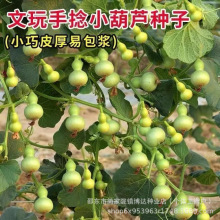 ����С���J�N����������С���J�̨�^�p���J�Ѽ����Ĳ��N�N����