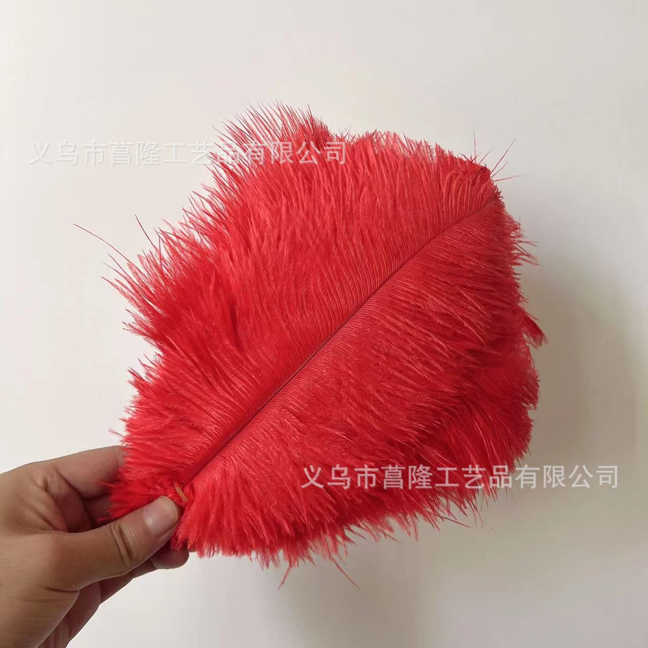 3acb4db59a24981c68a4d70cc2371b