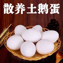 �r���p�S���Z�����r�ش����Z�����lһ����]���rֱ�l